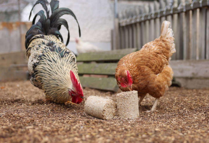 KERBL Dinkelspelzenbriketts